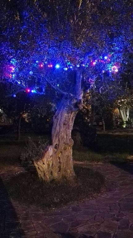 Al Vecchio Pozzo Apartamento Campobello di Licata Exterior foto